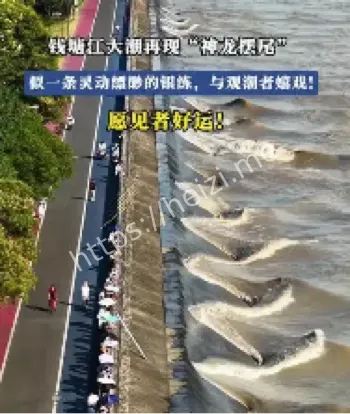 钱塘江神龙摆尾